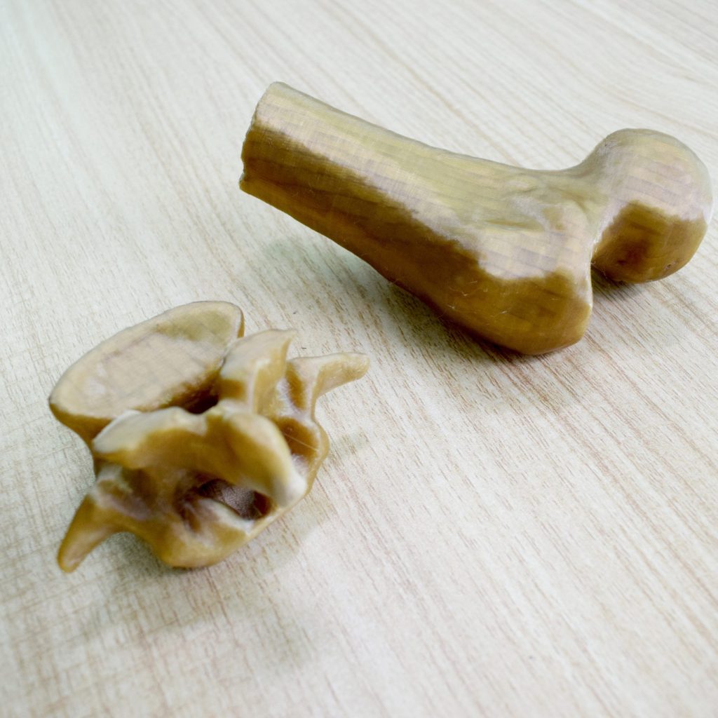 PEEK Medical Print Parts PEEK Medical Print Parts